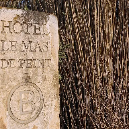 Le Mas De Peint - Hotel Et Restaurant-2